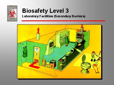 Make Your Own Pandemic - Mix Human And Avian Flu (But Do It In A Biosafety Level 3 Lab)